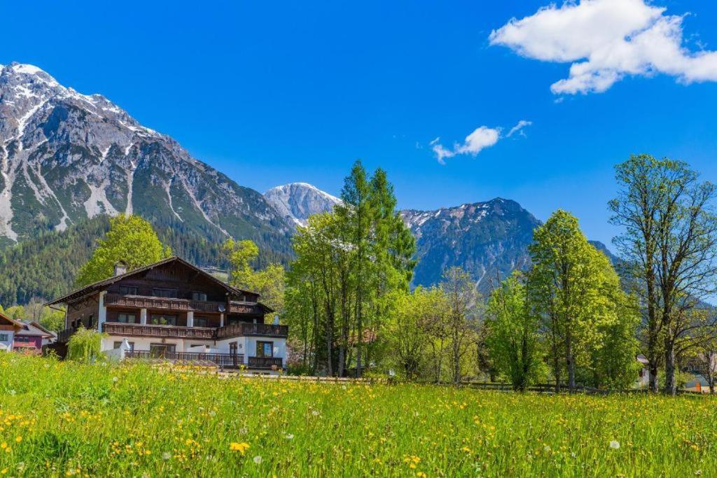 Bergidyll 1 Gartenwohnung Appartement Ramsau am Dachstein